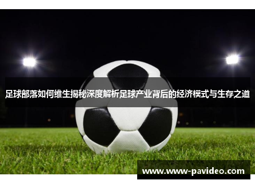足球部落如何维生揭秘深度解析足球产业背后的经济模式与生存之道